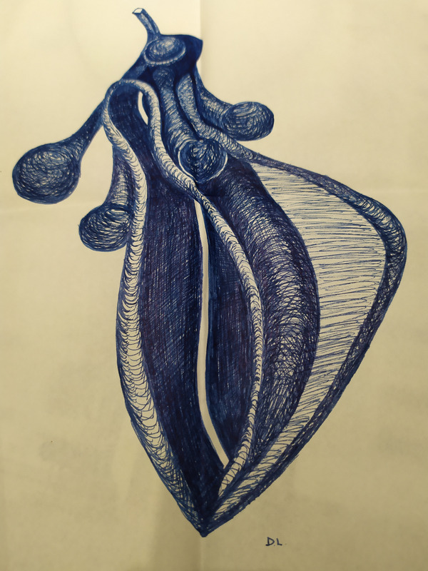 image de 